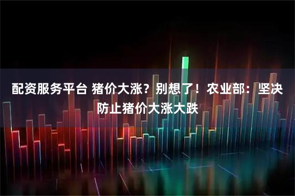 配资服务平台 猪价大涨？别想了！农业部：坚决防止猪价大涨大跌